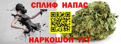 индика Новодвинск