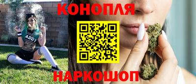 индика Новодвинск