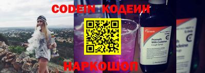 индика Новодвинск