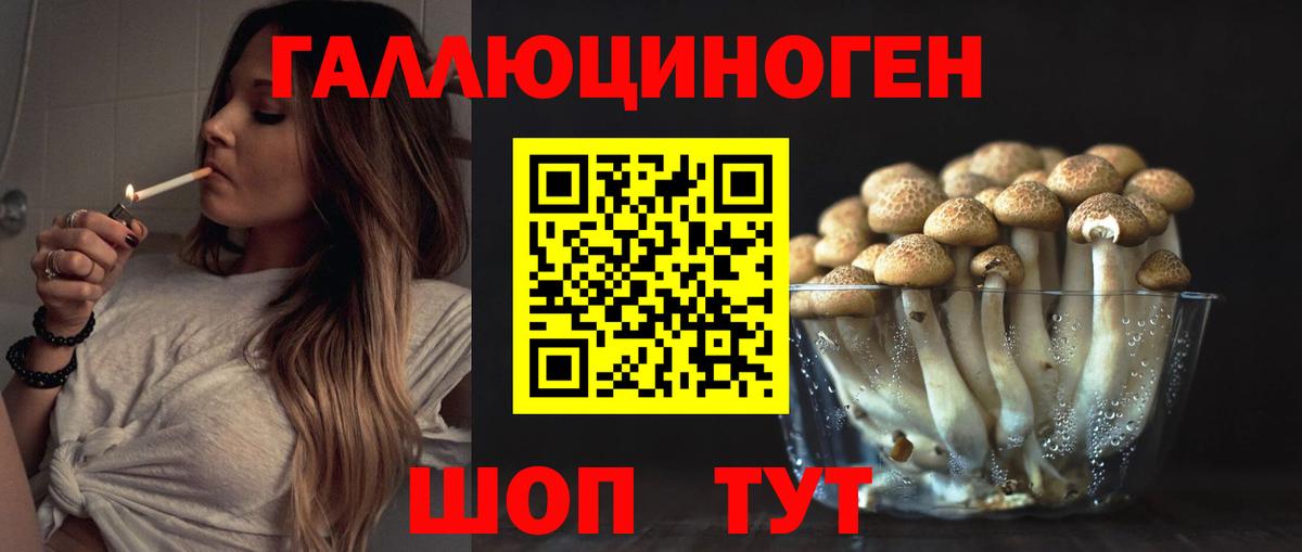 где купить наркоту  Галлюциногенные грибы Cubensis  Вход с VPN  Углич 